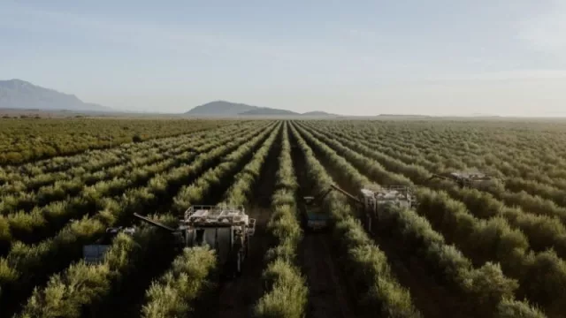 San Juan, el gigante productivo (y exportador) que conquista el mundo con gran variedad de productos