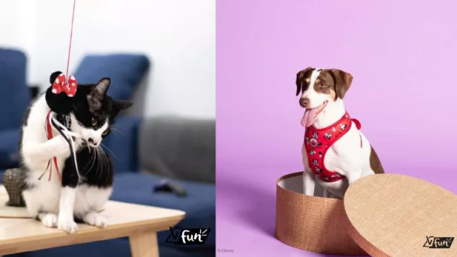 Llega VitalFun, la línea de accesorios para perros y gatos con los personajes de Disney y Marvel (dónde conseguirlos)