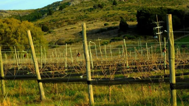 Se aprobó la indicación geográfica de Tandil y hay una sola bodega detrás del beneficio