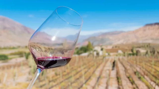 ¡Brindemos! Nuestro vino, un motor clave en la economía sanjuanina (acompañado de innovación tecnológica y prácticas sostenibles)