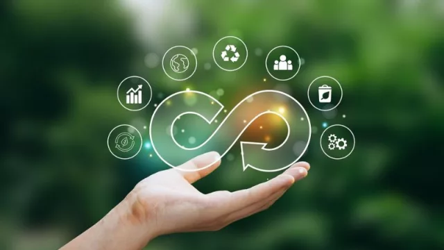 El prometedor camino (hacia el futuro) de las empresas sanjuaninas (de la mano de la economía circular)