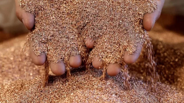 Acuerdo inédito de un mega proyecto minero para producir con energía verde