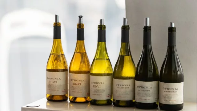 Una historia de lagos, frío, vientos, sol y suelos: Otronia presentó su malbec extremo en Londres