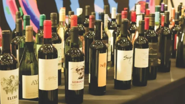 Con la participación de 86 bodegas, San Juan se llevó cuatro Gran oro en la Cata San Juan 2024