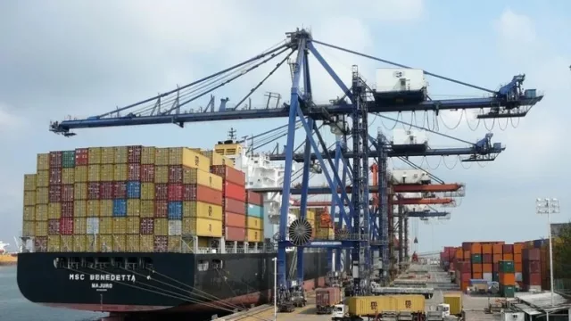 Crecieron las exportaciones de San Juan a Estados Unidos (el aceite de oliva y el mosto de uva, lideran el mercado)