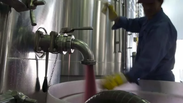 San Juan apuesta por sus bodegas con una nueva línea de financiamiento