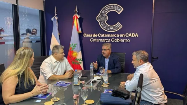 VulEnergy avanza con exploración para proyecto geotérmico en Antofagasta de la Sierra