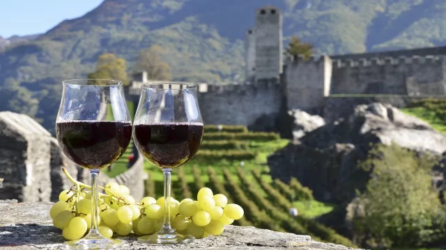 San Juan fortalece su presencia en el mercado alemán con uvas y vinos de alta gama