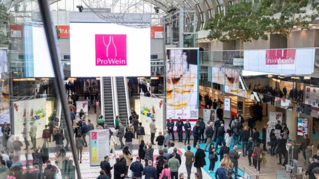 ProWein 2025: el vino sanjuanino se muestra al mundo en Alemania