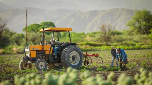 En un año, San Juan triplicó la asistencia financiera al sector agrícola (y benefició a más de 430 productores)
