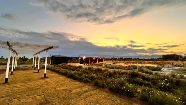 La Tertulia: abre en San Juan un nuevo espacio que fusiona naturaleza, arte y gastronomía