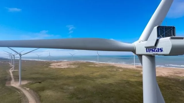 Vestas advierte que el crecimiento eólico en Argentina depende de ampliar la red eléctrica