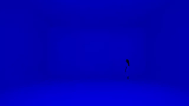 Superblue Miami: un viaje inmersivo a lo extraordinario (¿no conoces aún este shock de vivencias que cambia tus sentidos?)